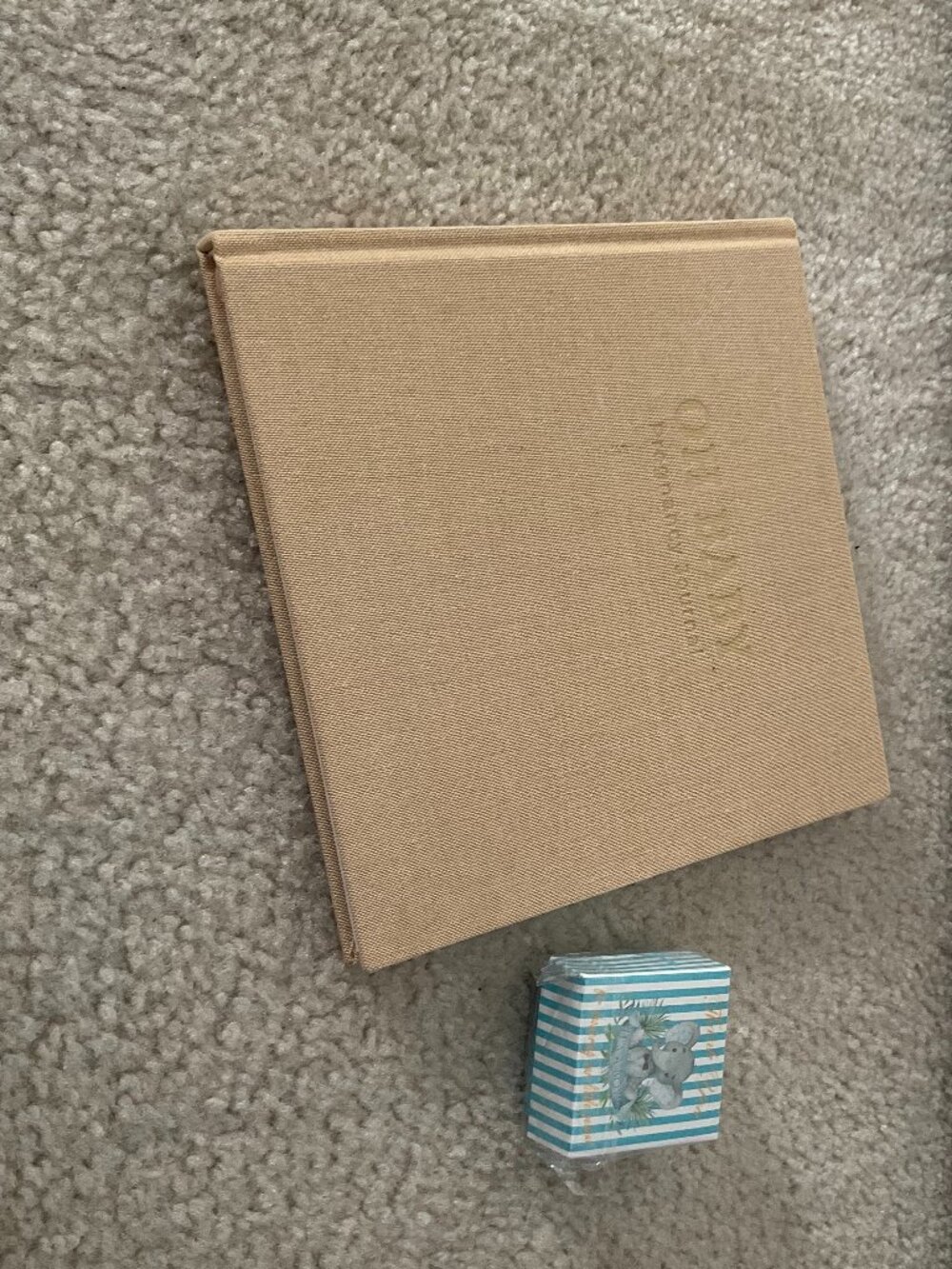 Pregnancy Book + It's a Boy Soap